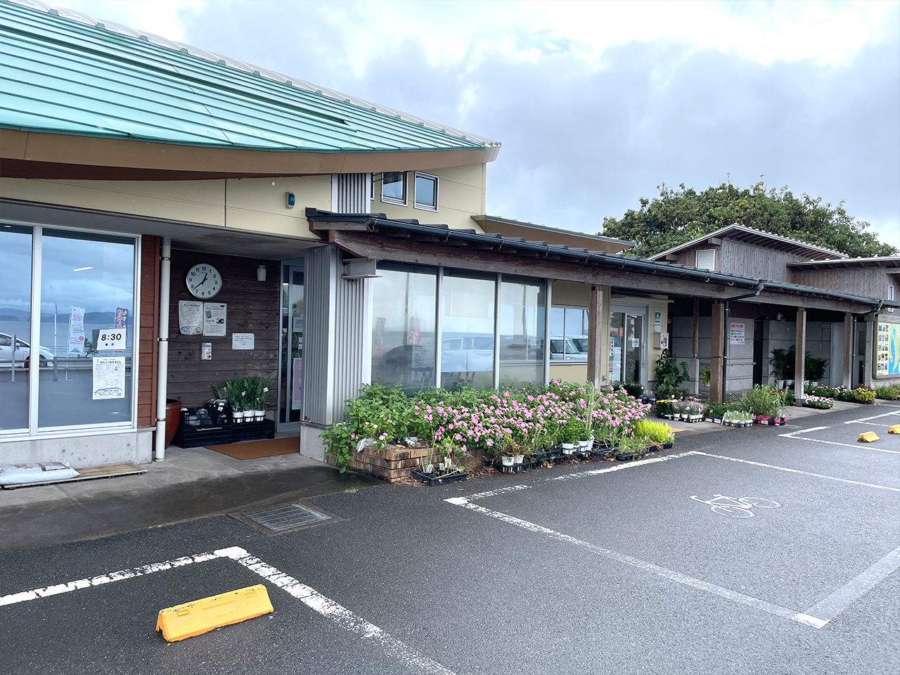 錦江にしきの里